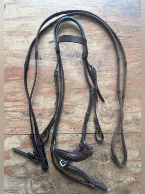 Drop noseband bridle and reins